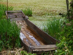 Flussboot - China
